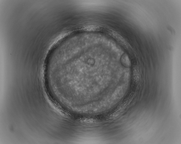 X0000110890730200907091353