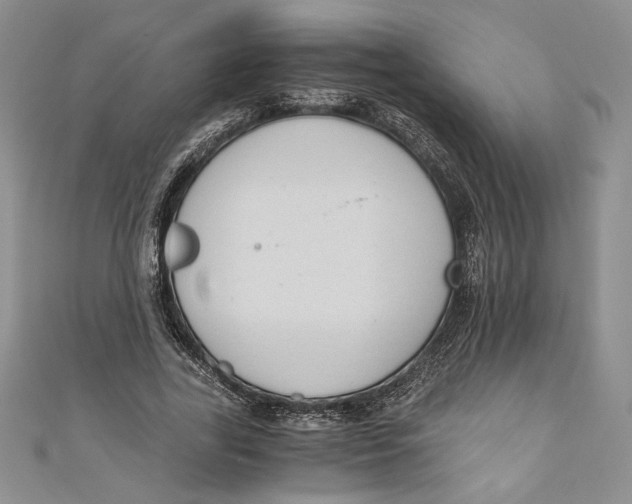 X0000110890731200907091353