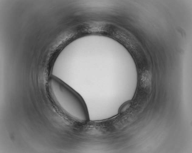 X0000110890732200907091353