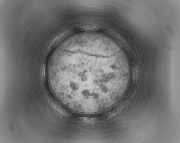 X0000110890733200907091353