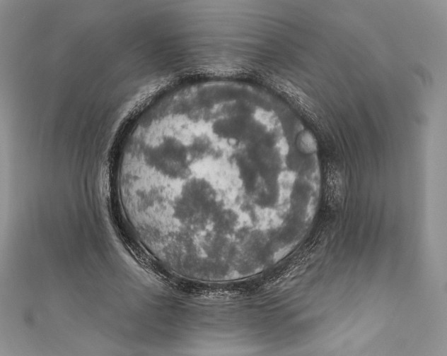 X0000110890734200907091353