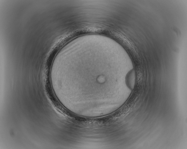 X0000110890736200907091353