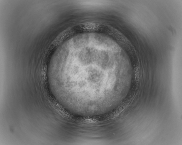 X0000110890737200907091353