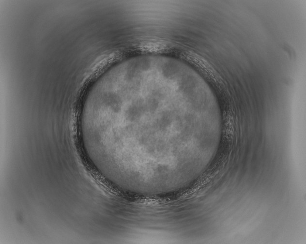 X0000110890738200907091353