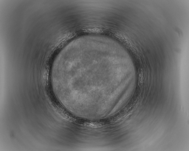 X0000110890739200907091353