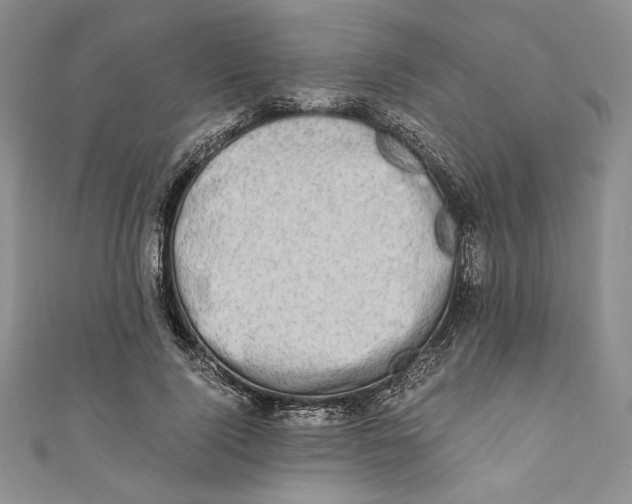 X0000110890740200907091353