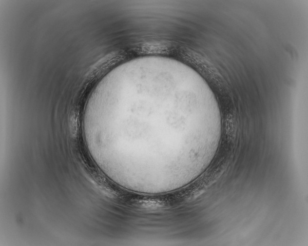 X0000110890741200907091353