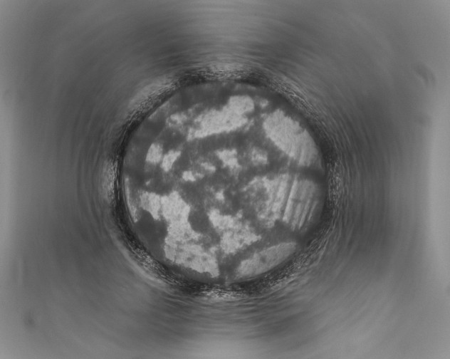 X0000110890742200907091353