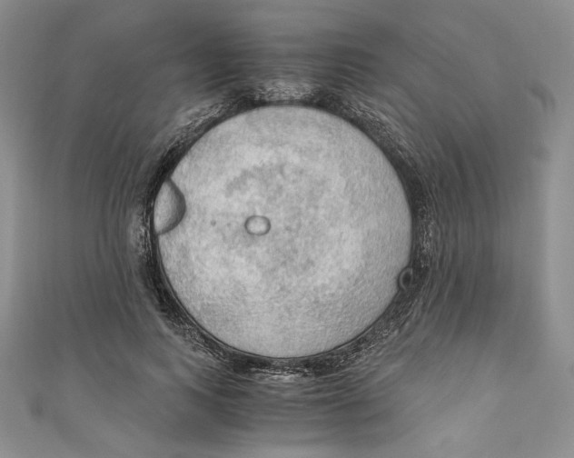 X0000110890743200907091353