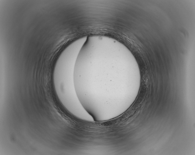 X0000110890744200907091353