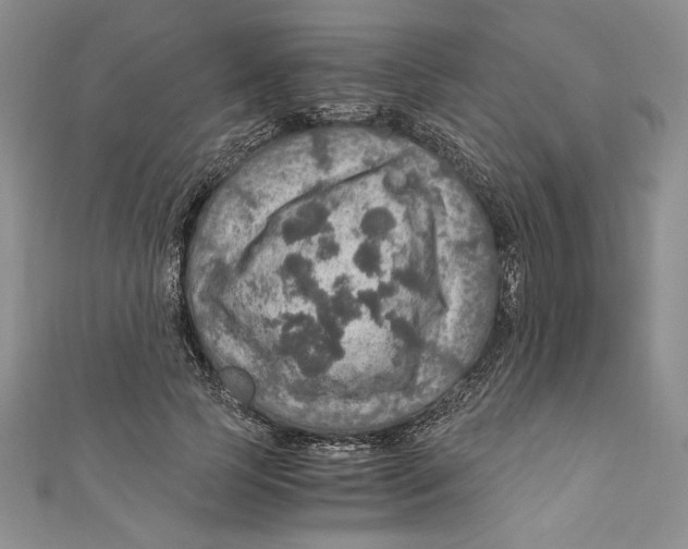 X0000110890745200907091353