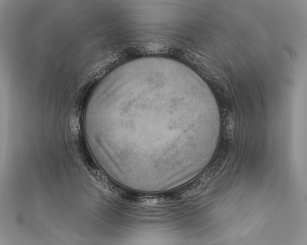 X0000110890746200907091353