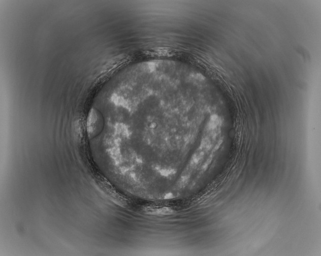 X0000110890747200907091353