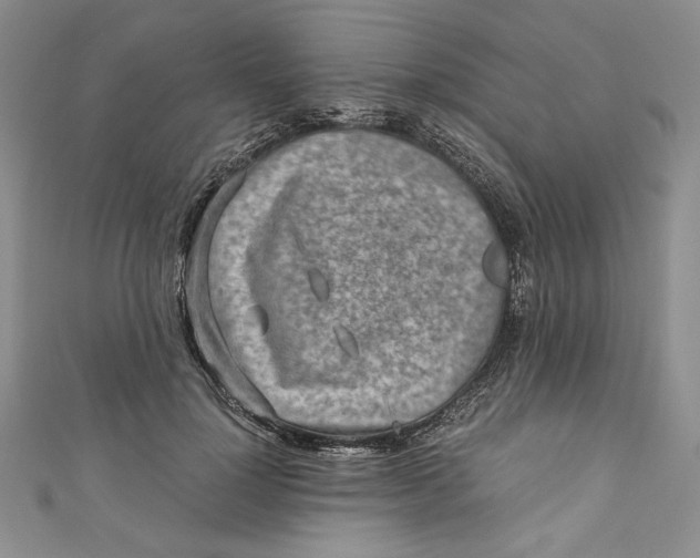 X0000110890748200907091353