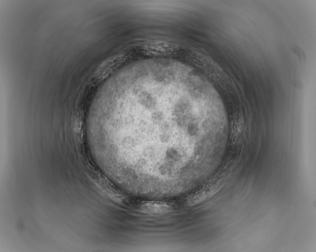 X0000110890749200907091353