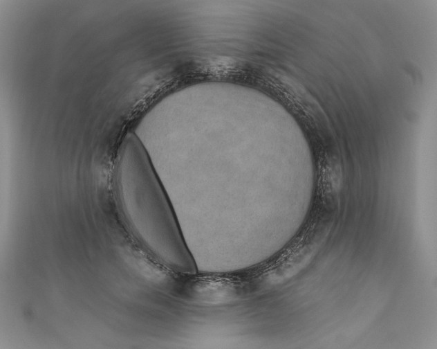 X0000110890750200907091353