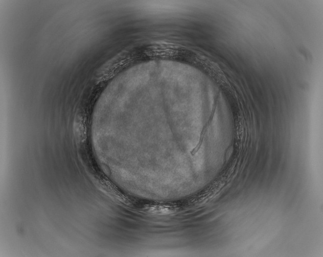 X0000110890751200907091353