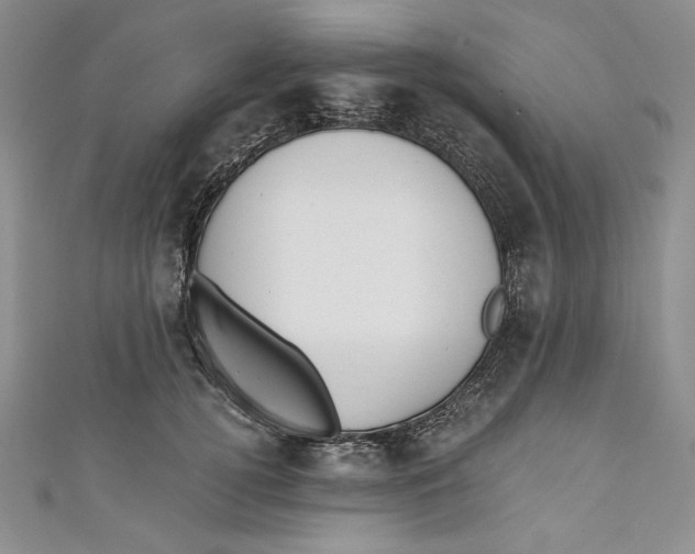 X0000110890752200907091353