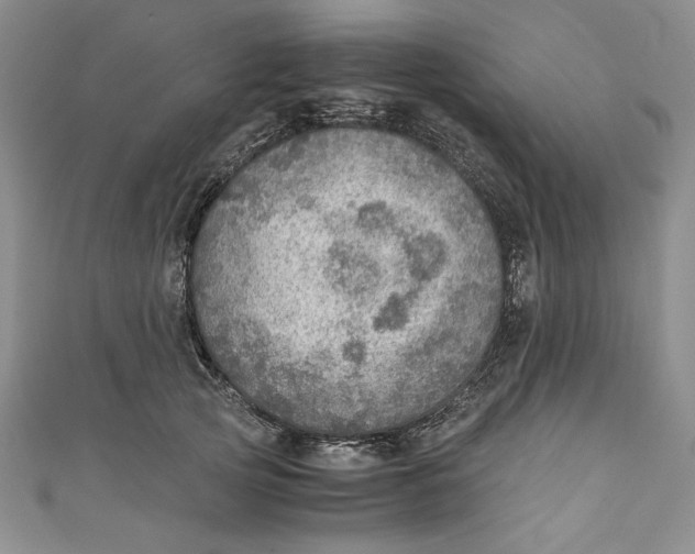 X0000110890753200907091353