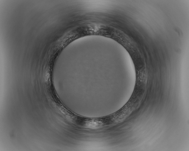 X0000110890754200907091354