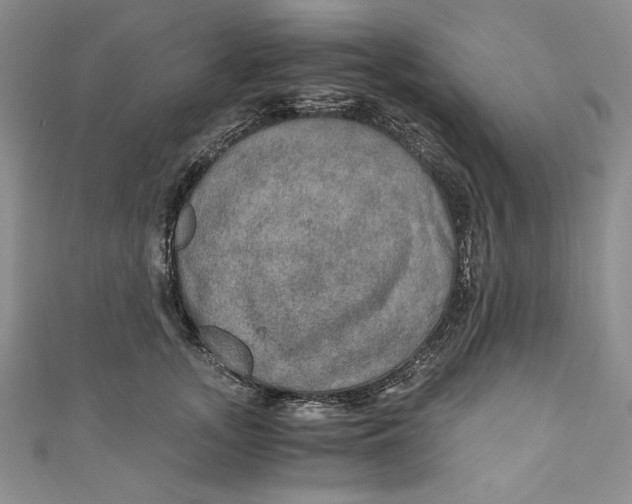 X0000110890755200907091354