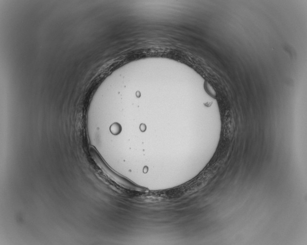 X0000110890756200907091354