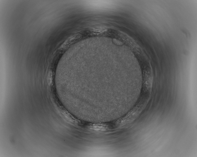 X0000110890758200907091354