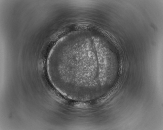 X0000110890759200907091354