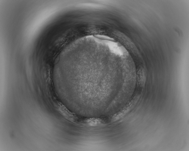 X0000110890762200907091354