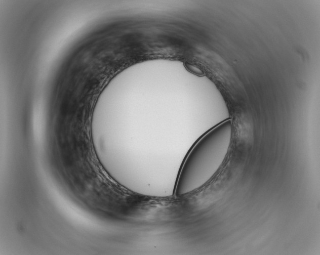 X0000110890764200907091354