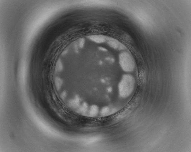 X0000110890765200907091354