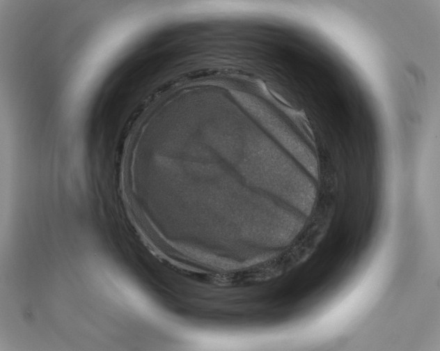 X0000110890766200907091354