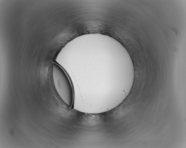 X0000110890768200907091354