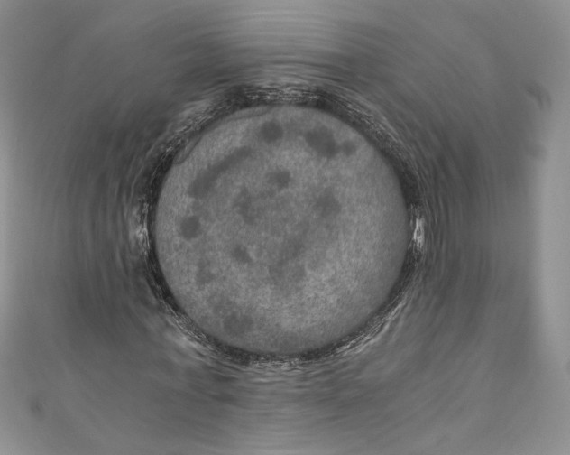 X0000110890771200907091353