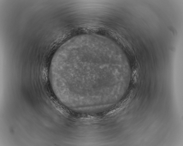 X0000110890772200907091353