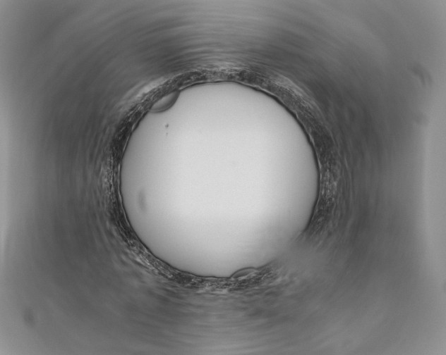 X0000110890773200907091353