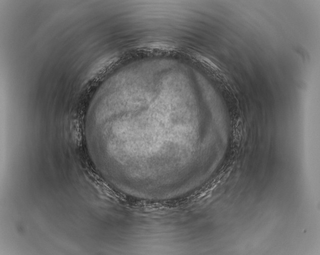 X0000110890774200907091353