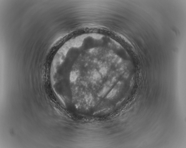 X0000110890775200907091353