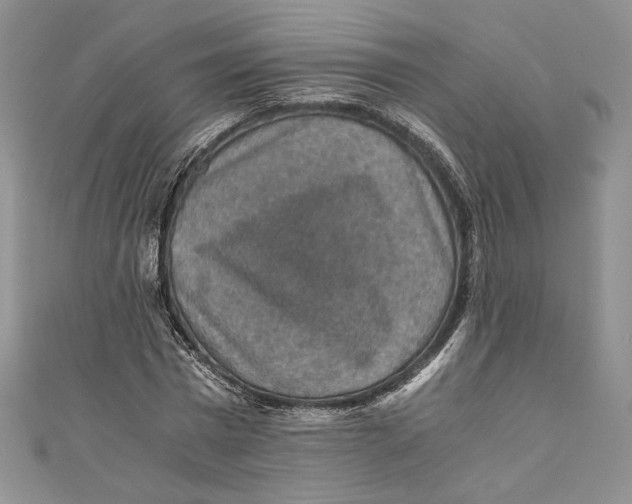 X0000110890777200907091353