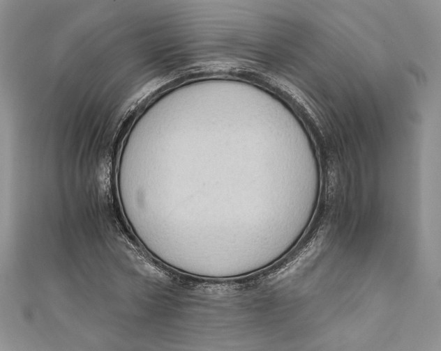 X0000110890778200907091353