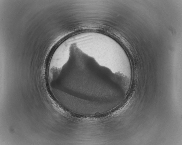 X0000110890779200907091353