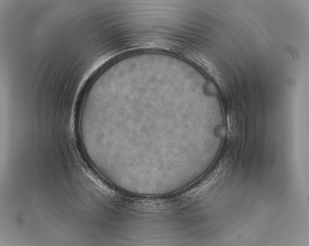 X0000110890780200907091353