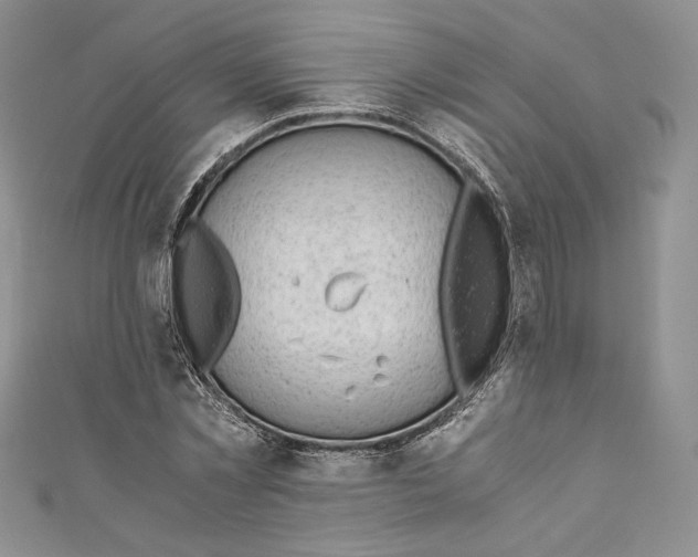 X0000110890781200907091353