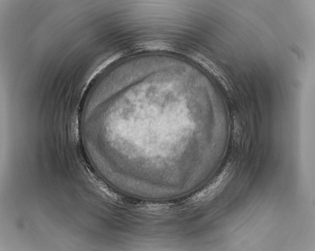 X0000110890782200907091353