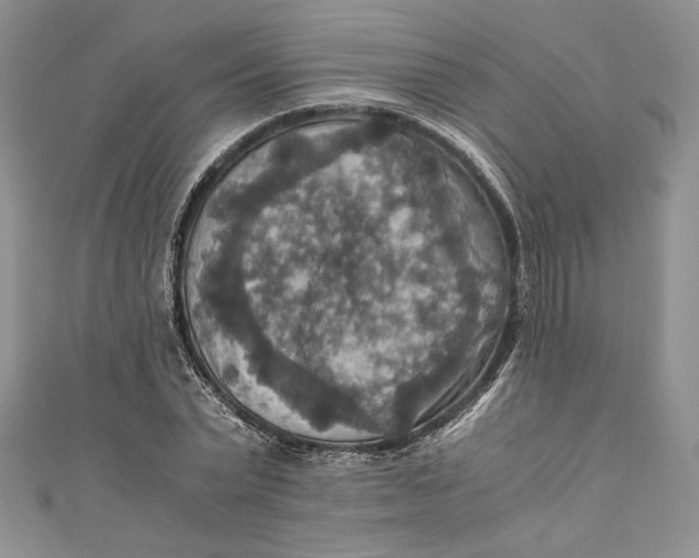 X0000110890783200907091353