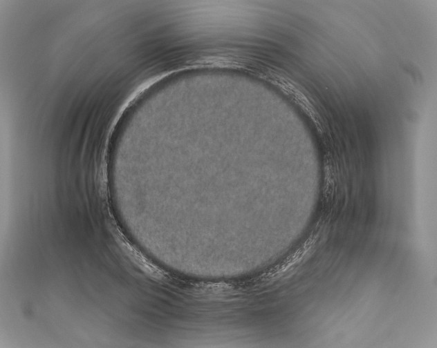 X0000110890784200907091353