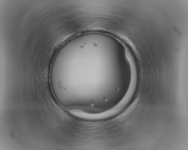 X0000110890785200907091353