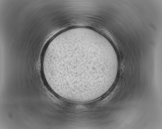 X0000110890787200907091353