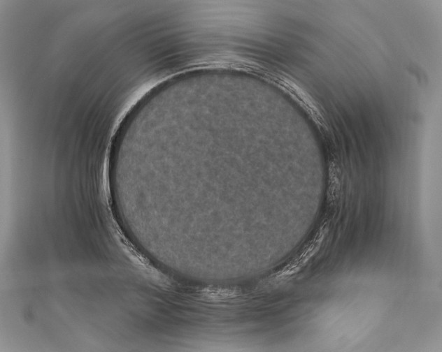 X0000110890788200907091353