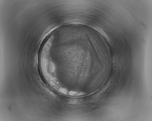 X0000110890790200907091353